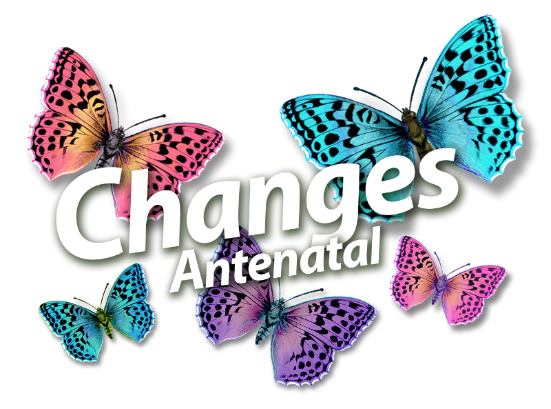 changes antenatal